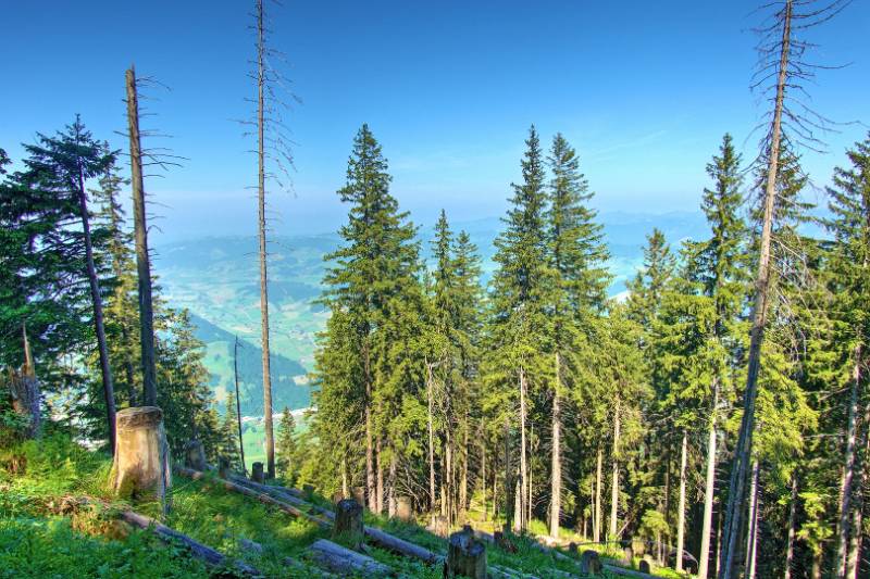250612-Farnere-runde-im-entlebuch-ab-heiligkreuz-04471_2_301_ek_Balanced