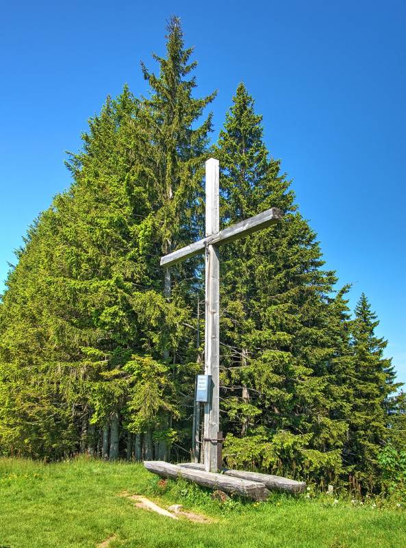 Auf dem Farnere