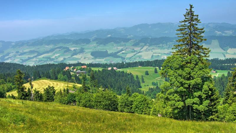 Heiligkreuz unten