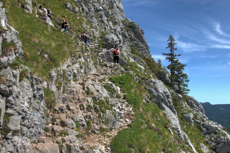 Auf dem steinigen Weg