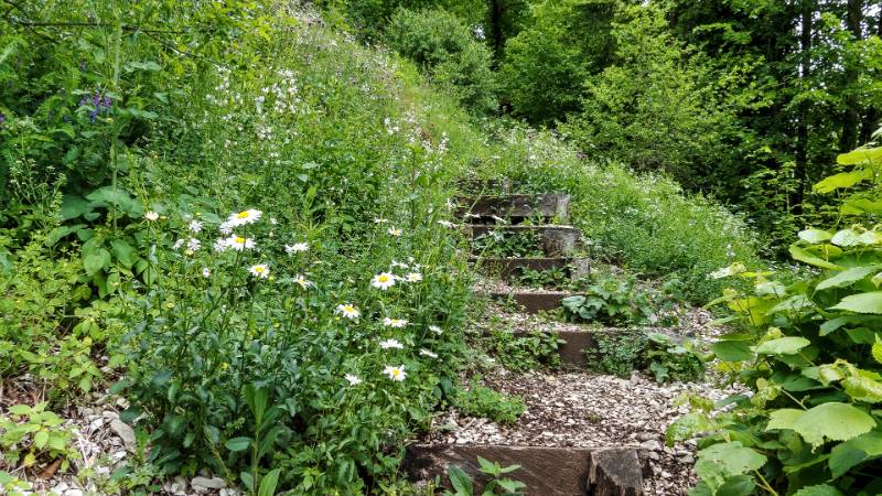 Wanderung Lägern