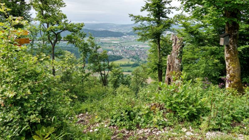 Blick auf Otelfingen