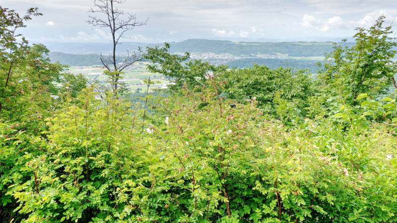 250527-wanderung-laegern-03691_2_301_ek_Balanced