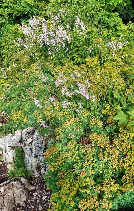 250527-wanderung-laegern-03694_5_602_ek_ForegroundEnhance2