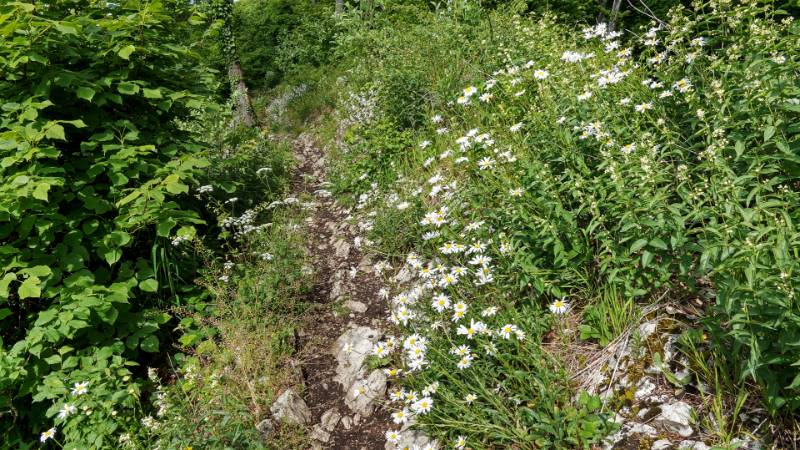 250527-wanderung-laegern-03697_8_901_ek_Balanced