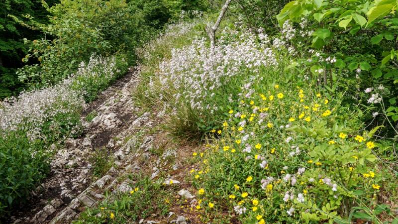250527-wanderung-laegern-03709_10_1101_ek_Balanced