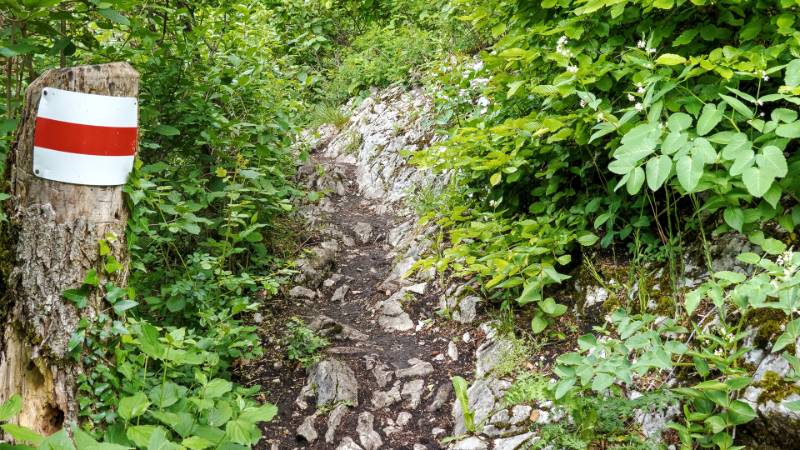 250527-wanderung-laegern-03715_6_701_ek_Balanced
