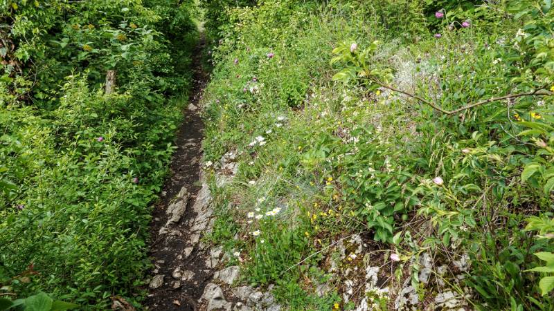 250527-wanderung-laegern-03724_5_601_ek_Balanced