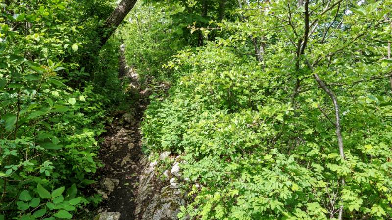 250527-wanderung-laegern-03745_6_701_ek_Balanced