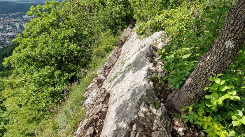 250527-wanderung-laegern-03751_2_301_ek_Balanced