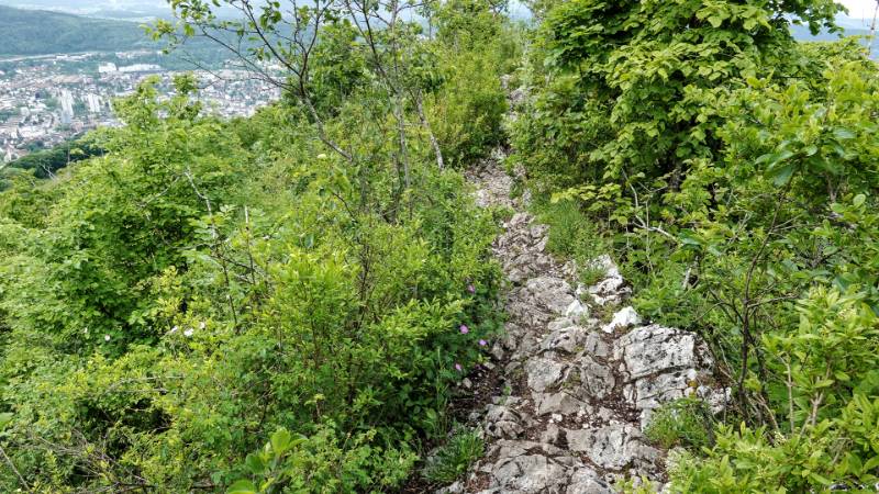 250527-wanderung-laegern-03757_8_901_ek_Balanced