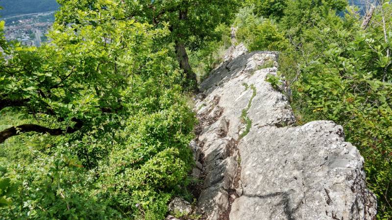 250527-wanderung-laegern-03766_7_801_ek_Balanced