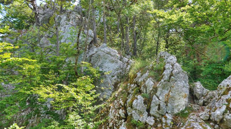 250524-wanderung-chemiflue-03457_8_902_ek_ForegroundEnhance2