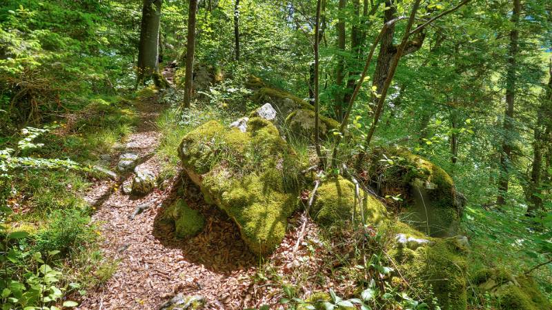 250524-wanderung-chemiflue-03463_4_502_ek_ForegroundEnhance2