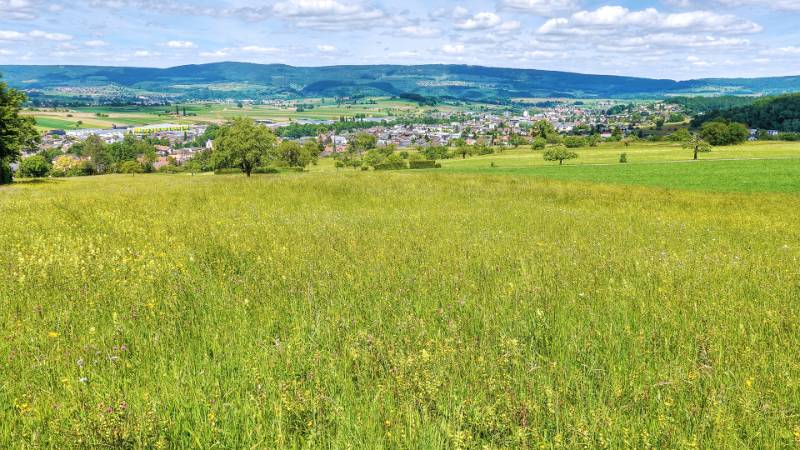 250524-wanderung-chemiflue-03496_7_802_ek_ForegroundEnhance2