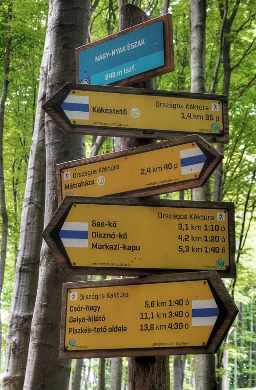 Wegweiser mit weiss-blau-weiss Markierungen