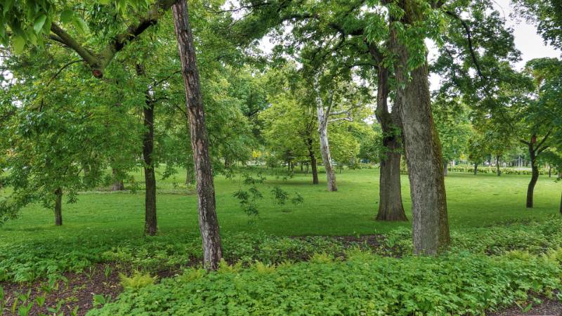 Ruhig, gibt es kaum Menschen im Park
