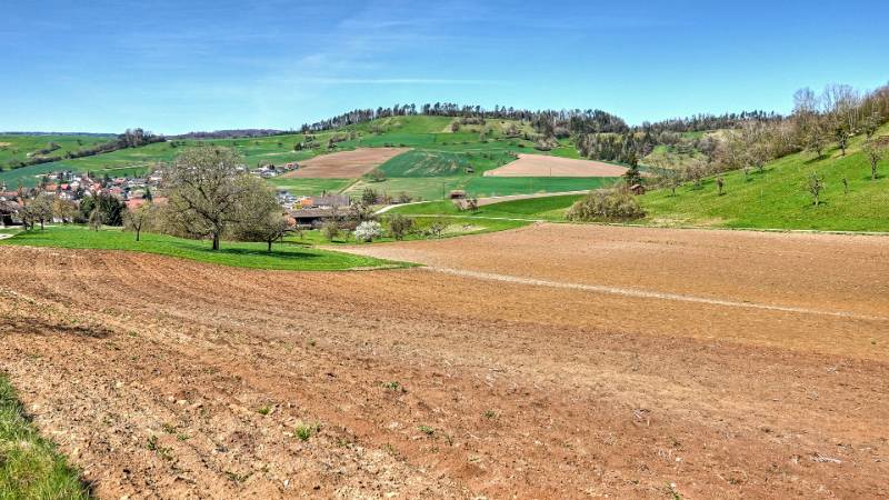 250405-wanderung-schleitheimer-randenturm-02308_09_10