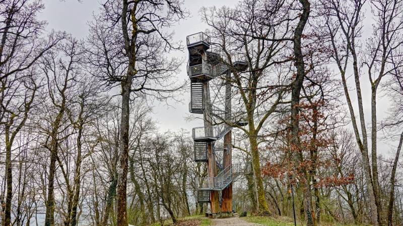 Image Wanderung Siblinger Randenturm