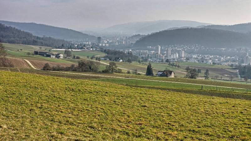 Image Ebnihof-Tromsberg: ein Spaziergang im Wald an einem kühlen Februar Tag