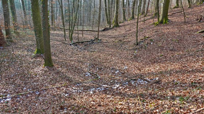 250219-Ebnihof-Tromsberg-im-Obersiggenthal-02020_1_2