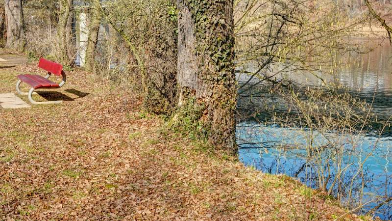 250209-limmatrunde-wettingen-killwangen-01954_5_6 (2)