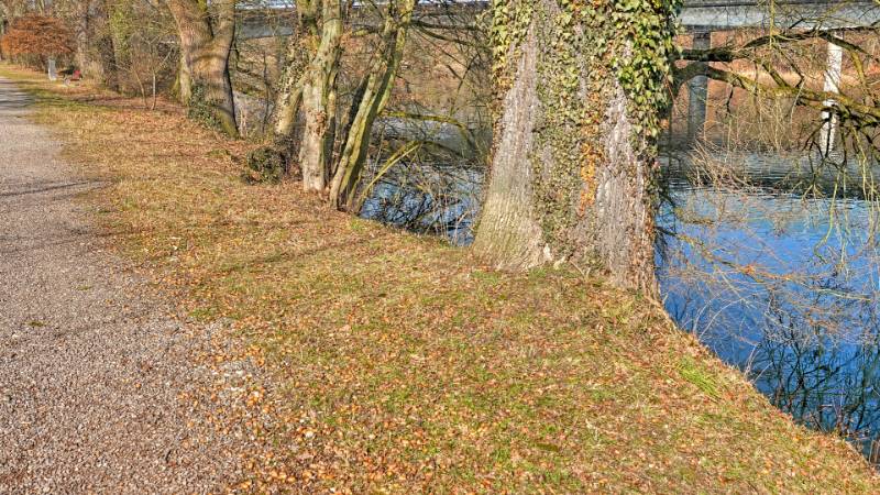 250209-limmatrunde-wettingen-killwangen-01957_8_9