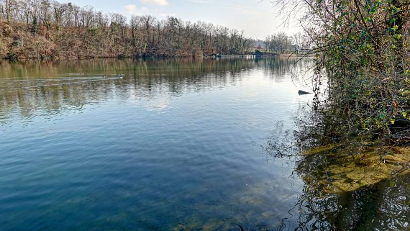 250209-limmatrunde-wettingen-killwangen-01960_1_2 (2)
