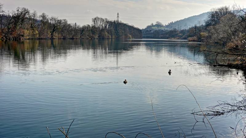 250209-limmatrunde-wettingen-killwangen-01972_3_4 (2)