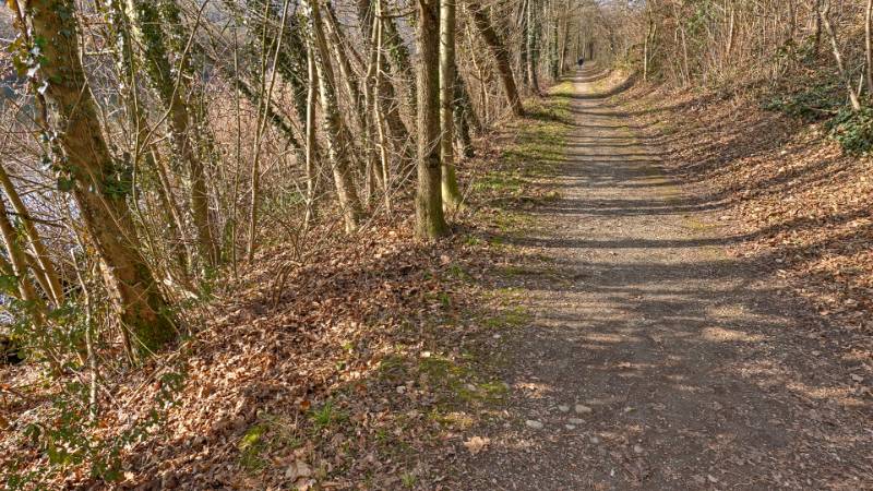 250209-limmatrunde-wettingen-killwangen-01981_2_3