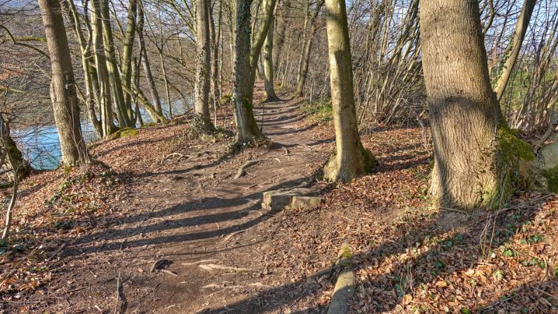 250209-limmatrunde-wettingen-killwangen-01984_5_6