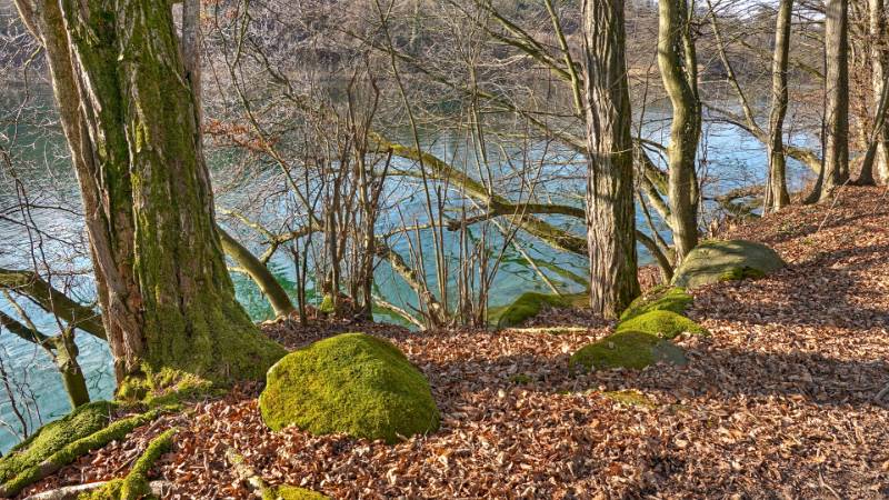 250209-limmatrunde-wettingen-killwangen-01987_8_9