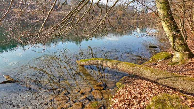 250209-limmatrunde-wettingen-killwangen-01990_1_2