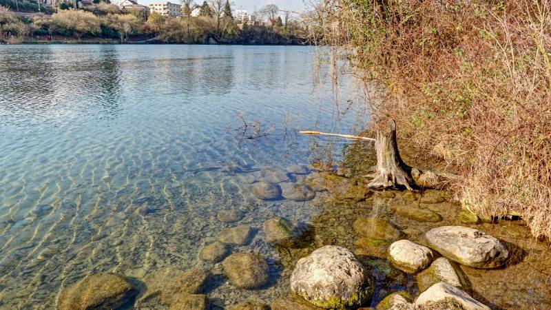 250209-limmatrunde-wettingen-killwangen-01993_4_5 (2)