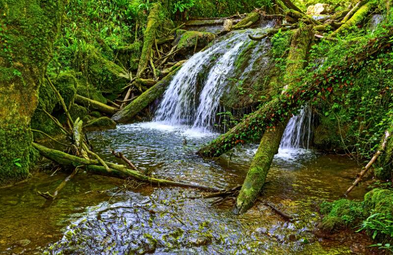 In der Chaltbrunnenbachschlucht