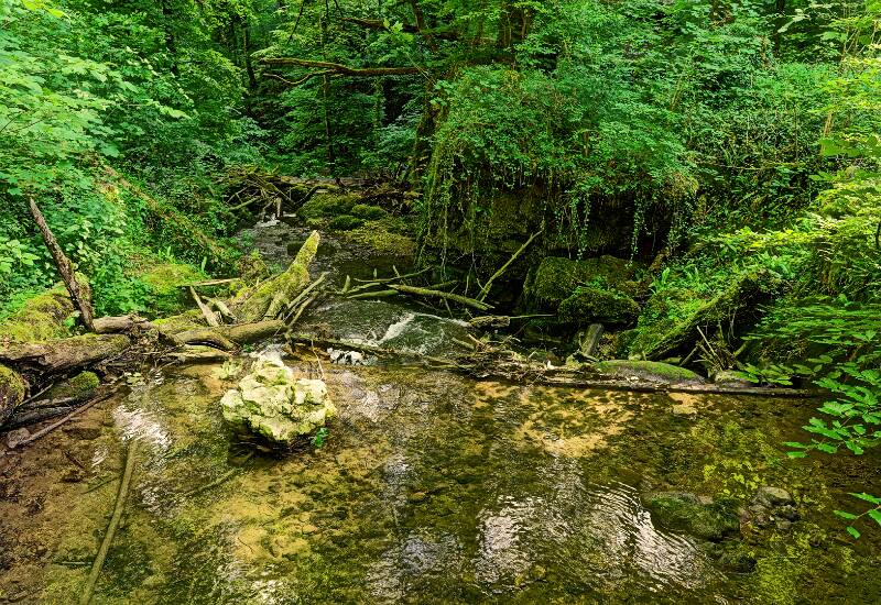 Chaltbrunnenbachschlucht.