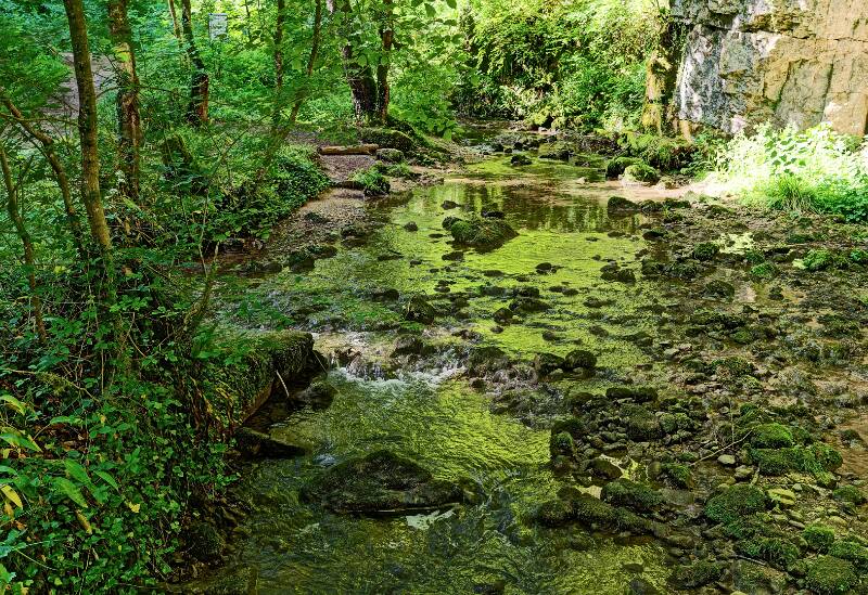 Chaltbrunnenbachschlucht.