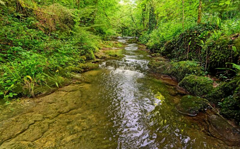Chaltbrunnenbachschlucht.