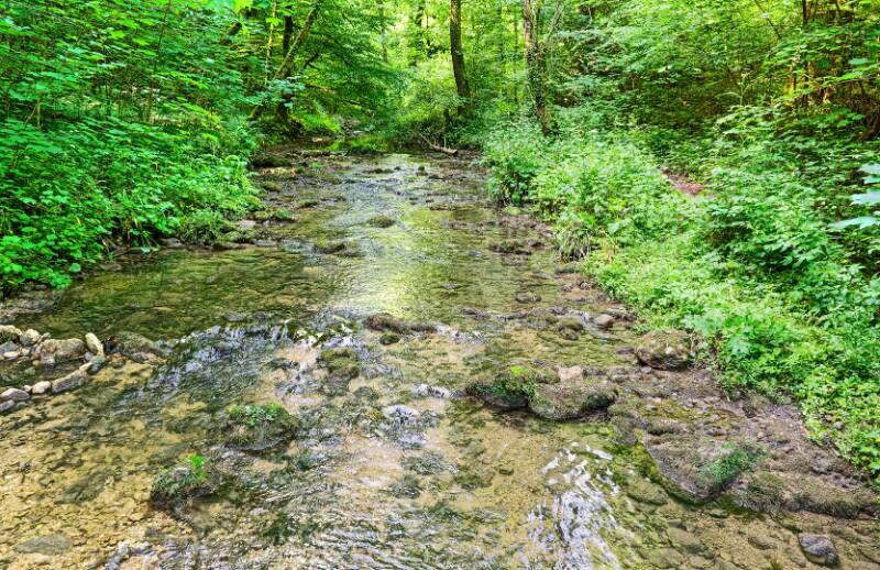 Chaltbrunnenbachschlucht.