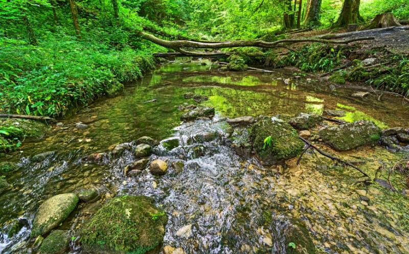 Chaltbrunnenbachschlucht.