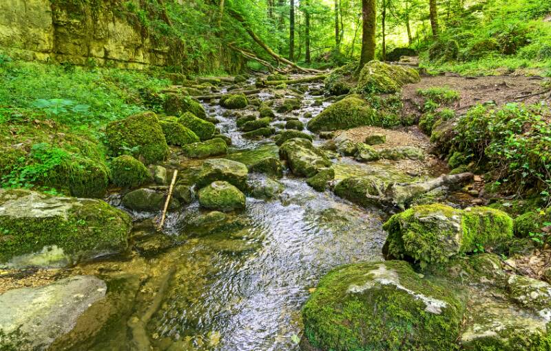 Chaltbrunnenbachschlucht.
