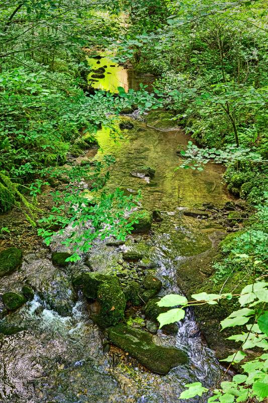Chaltbrunnenbachschlucht.