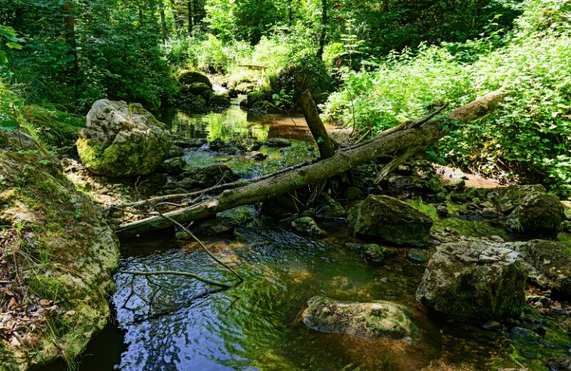 Chastelbachschlucht