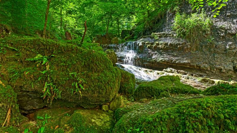 Wilde Chastelbachschlucht.