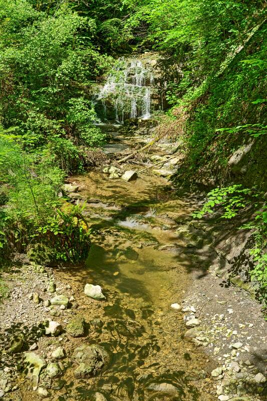 Chastelbachschlucht.