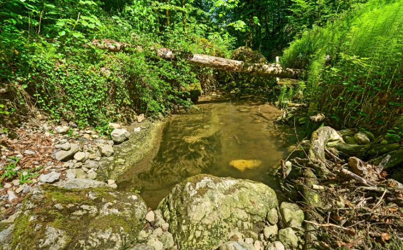 Chastelbachschlucht.