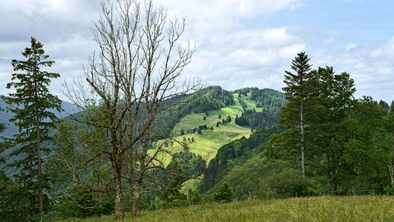 Views im Abstieg