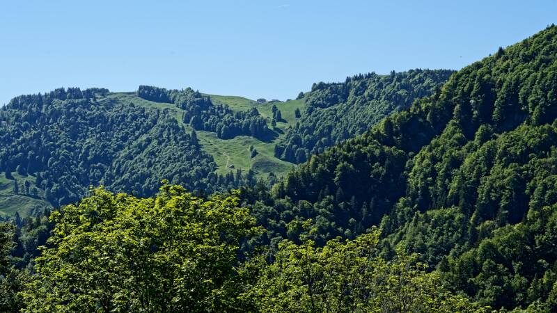 Das Haus auf dem Kamm - Berggasthaus Chrüzegg