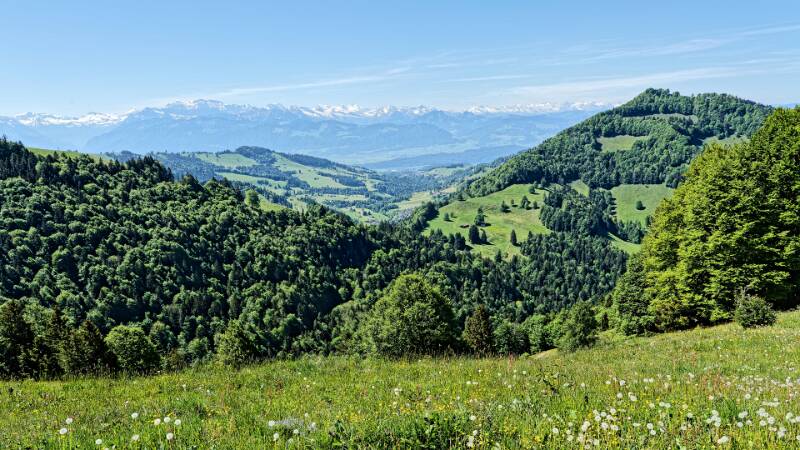 Die Sicht bis auf die Alpen