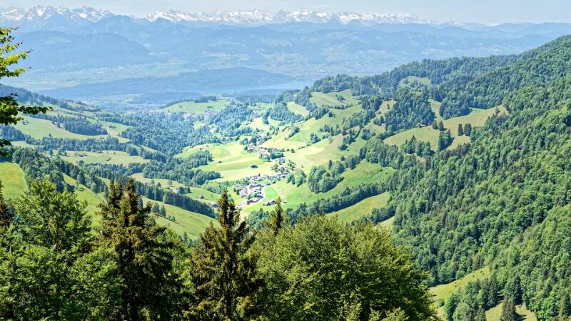 260523-chruezegg-ab-libingen-02578x_79x_80x